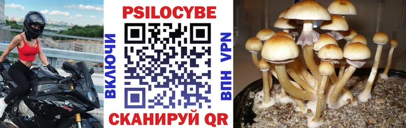 Псилоцибиновые грибы GOLDEN TEACHER  Печоры 