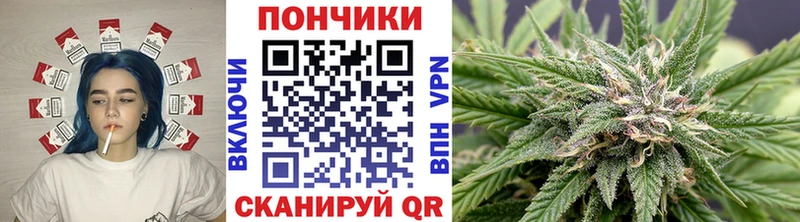 Конопля MAZAR  Печоры 